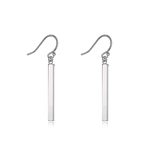 Limerencia Pure Titanium Vertical Bar Drop Earrings, 30mm